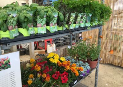 Jardinerie Nature et Provence