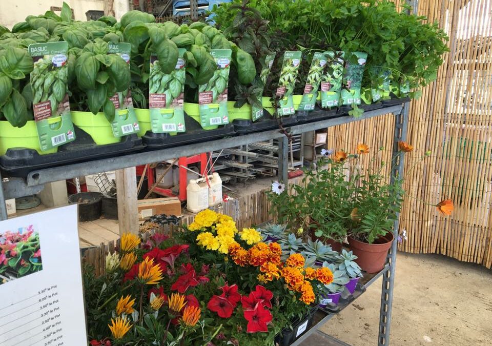 Jardinerie Nature et Provence