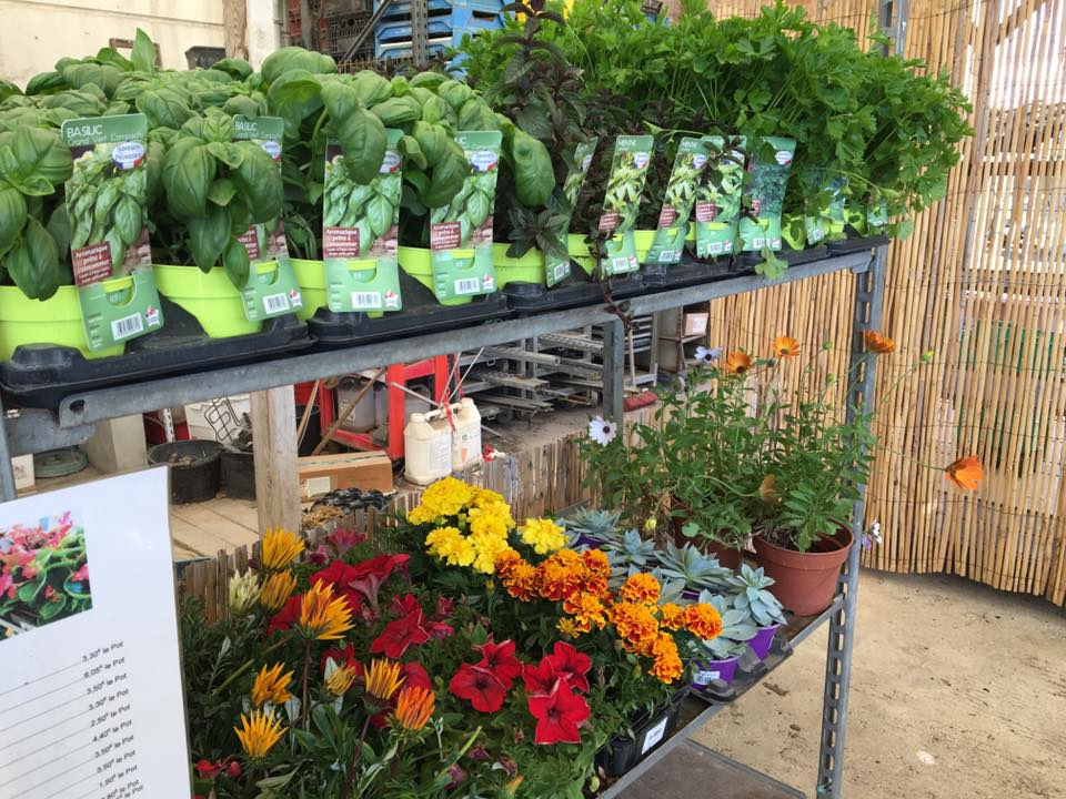 Restaurant traiteur la crau - La zone