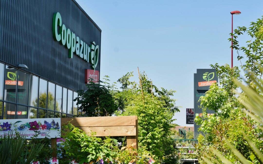 COOPAZUR